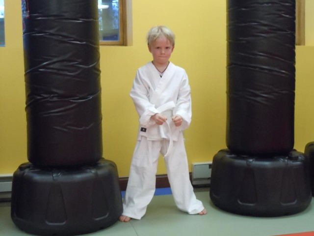 karatekid-normal.jpg