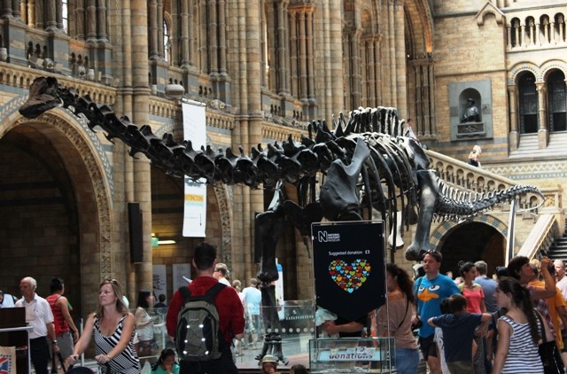 Natural_History_Museum-normal.jpg