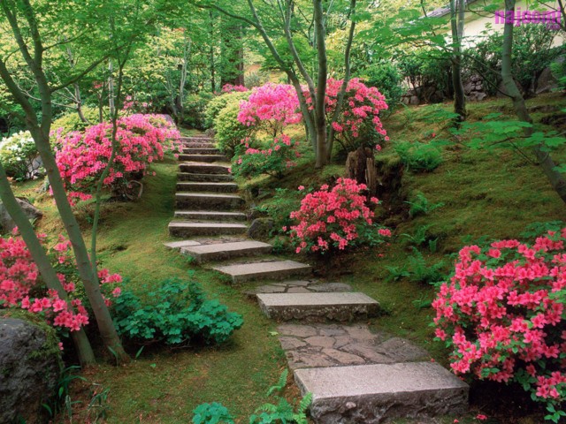 Beautiful-Garden-1600X1200-698-normal.jp