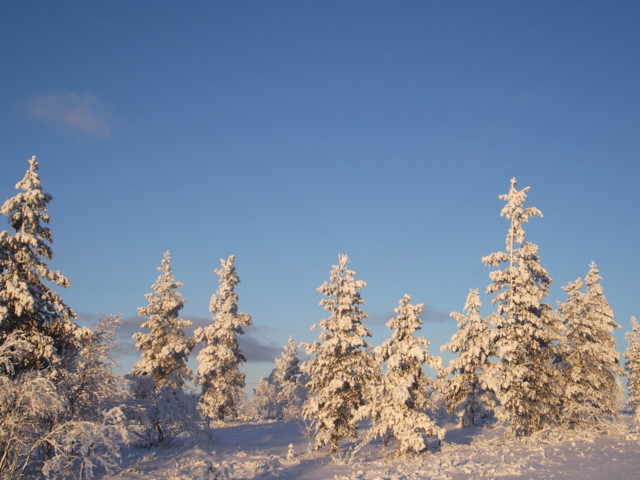 saariselk%C3%A4%201%20047-normal.jpg