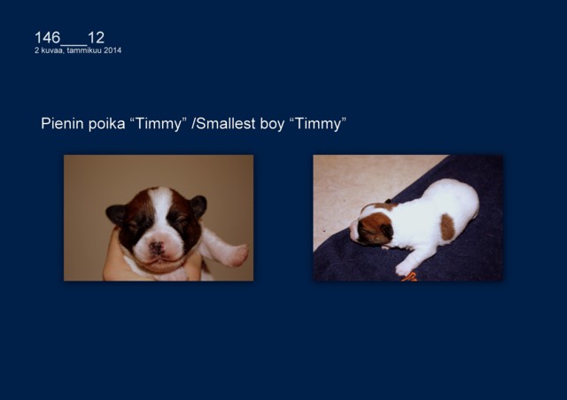 Timmy0401-normal.jpg