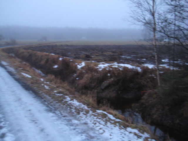 tammikuu2013 001.JPG