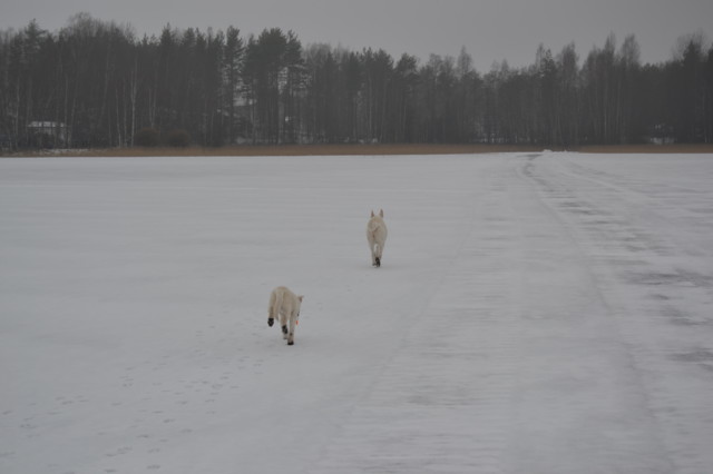 ulkoilu%2022.2%20012-normal.jpg