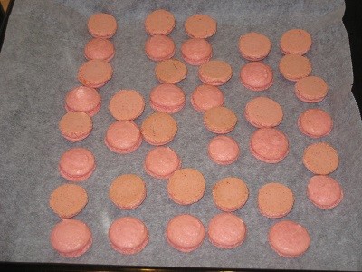 Macaronit%2C%20sly%20002pp-normal.jpg