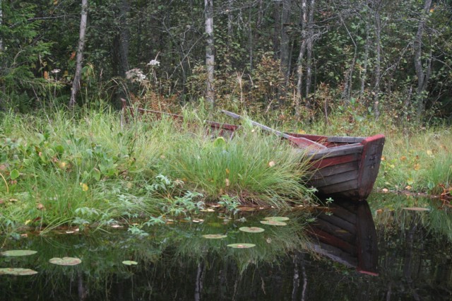 2012.8.24.%20Majavaa%20kuvaamassa.%20%28