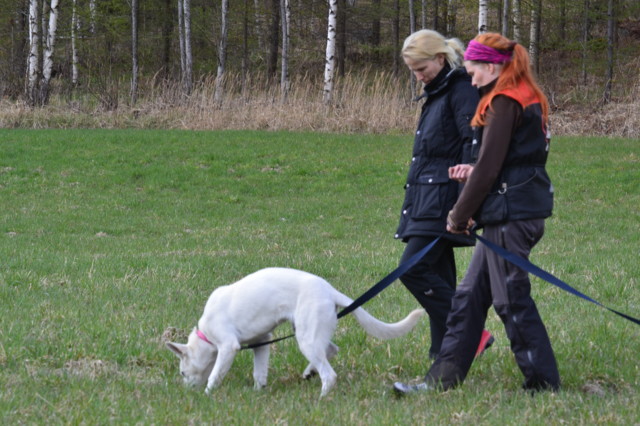 Maastoleiri%20Haukkulaakso%2010-11.5.201