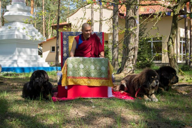 Rinpoche_4-normal.jpg