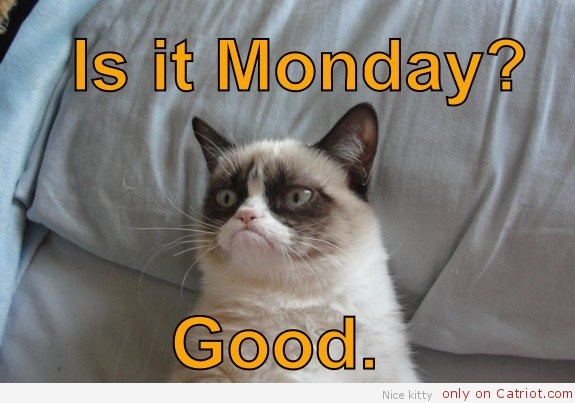 grumpycatmonday1-normal.jpg