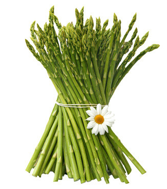 asparagus-1-normal.jpg