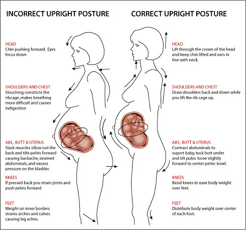 preg-posture-normal.jpg
