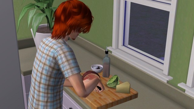 Sims2ep9%202014-07-07%2022-36-24-47-norm