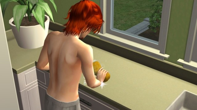 Sims2ep9%202014-07-07%2022-55-41-49-norm