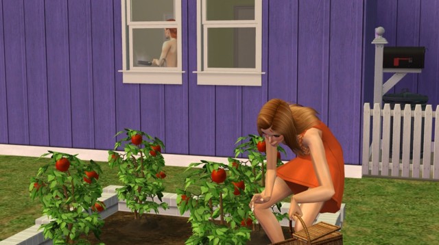 Sims2ep9%202014-07-08%2016-26-27-84-norm