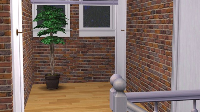 Sims2ep9%202014-07-08%2018-10-48-86-norm