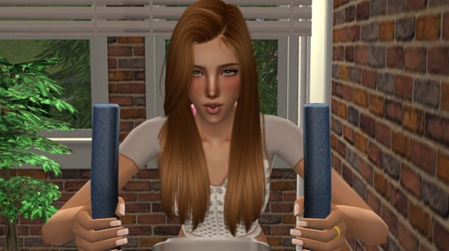 Sims2ep9%202014-07-09%2019-12-36-00-norm