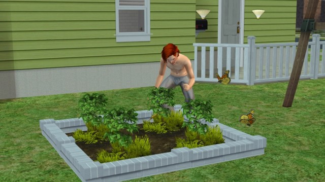 Sims2ep9%202014-07-11%2017-40-01-60-norm