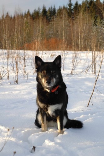 katla-istuu-pieni-normal.jpg