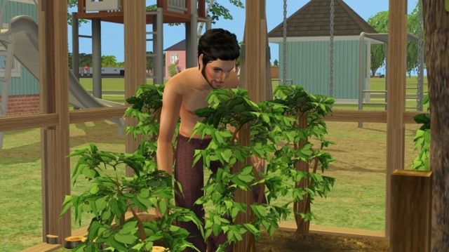 Sims2ep9%202014-07-22%2021-39-07-35-norm