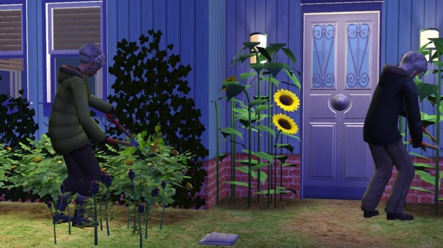 Sims2ep9%202014-07-24%2013-20-47-97-norm