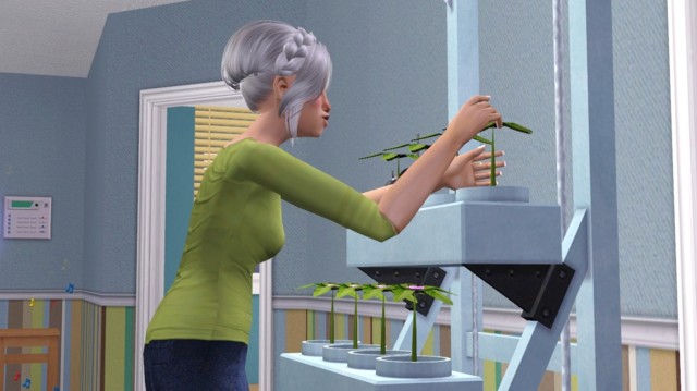Sims2ep9%202014-07-29%2019-50-23-35-norm