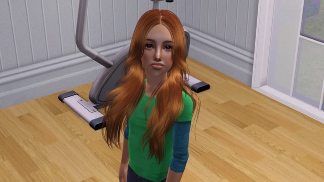Sims2ep9%202014-09-02%2017-54-42-68-norm