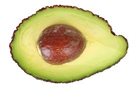 avocado-16041__180-normal.jpg