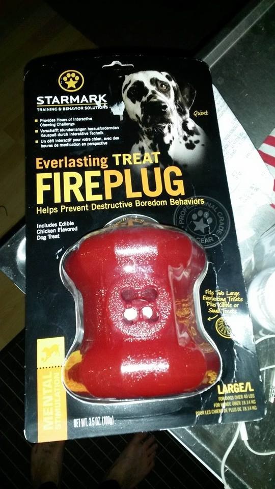 fireplug.jpg