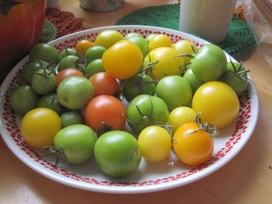tomaatitviikkoamyohemmin.jpg