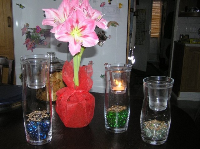 amaryllis%20002.jpg