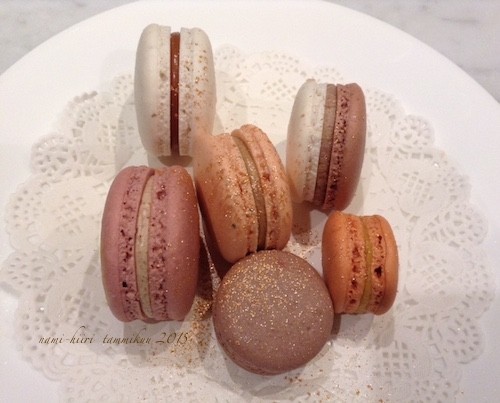 macarons%20tammikuu%20-14.jpg