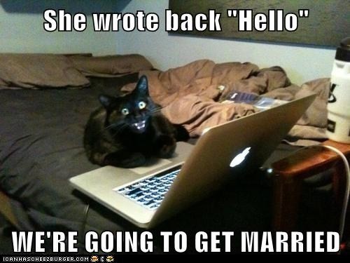 funny-cat-pictures-she-wrote-back-hello-