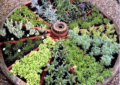 wagon-wheel-herb-garden.jpg
