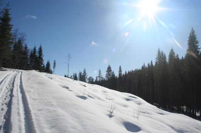 2015.3.25.%20Tenhuanlammentie%20ja%20Saa