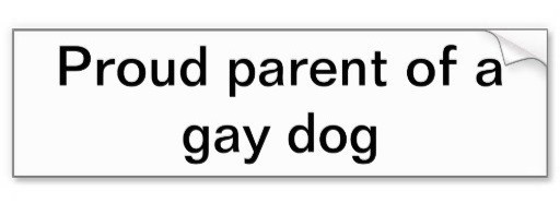 proud_parent_of_a_gay_dog_bumper_sticker