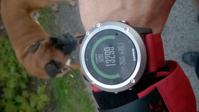 Garmin.jpg