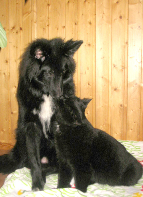 Heartbreaker%26Kasper%20003.jpg