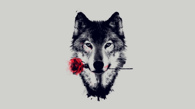 wolf_hd_by_arma3lonewolf-d8m9rto.jpg
