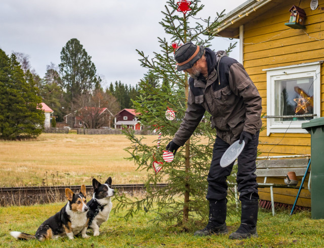 Kuusen%20koristelu-2.jpg