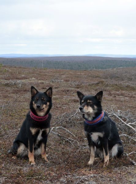 katla-hekla-iisakkipaalla.jpg