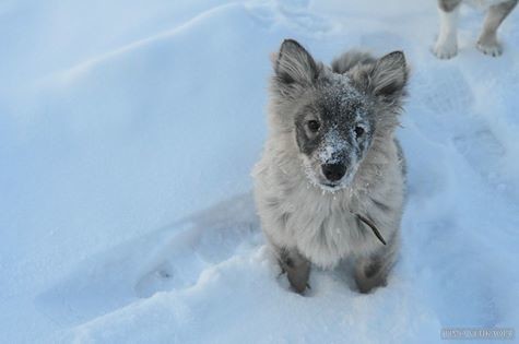 Luca%202016%20tammikuu%20Timo%20Vehkaoja