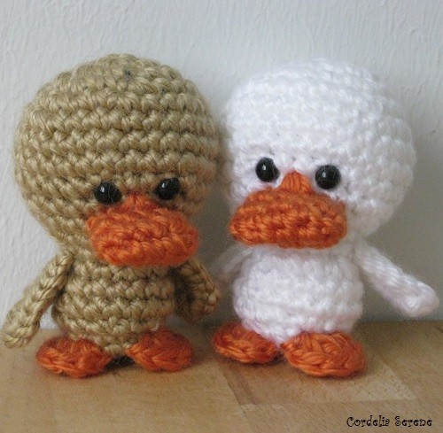 ducks007.jpg