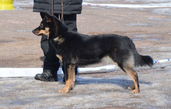 hekla-erkkari1.jpg