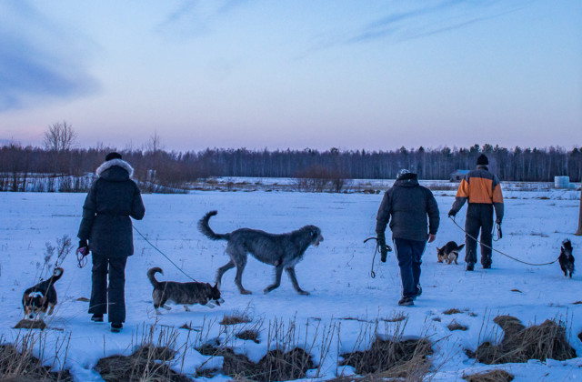 Pinjan%20porukka-4.jpg