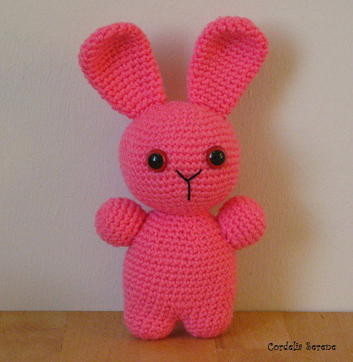 bunny005.jpg