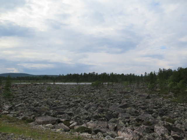 IMG_1436.jpg