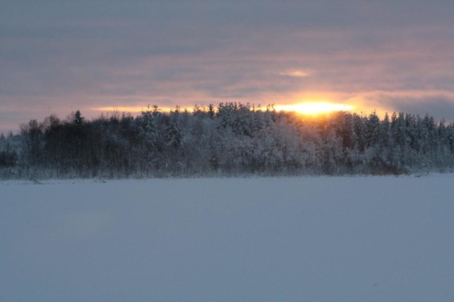 Murronranta011216.jpg