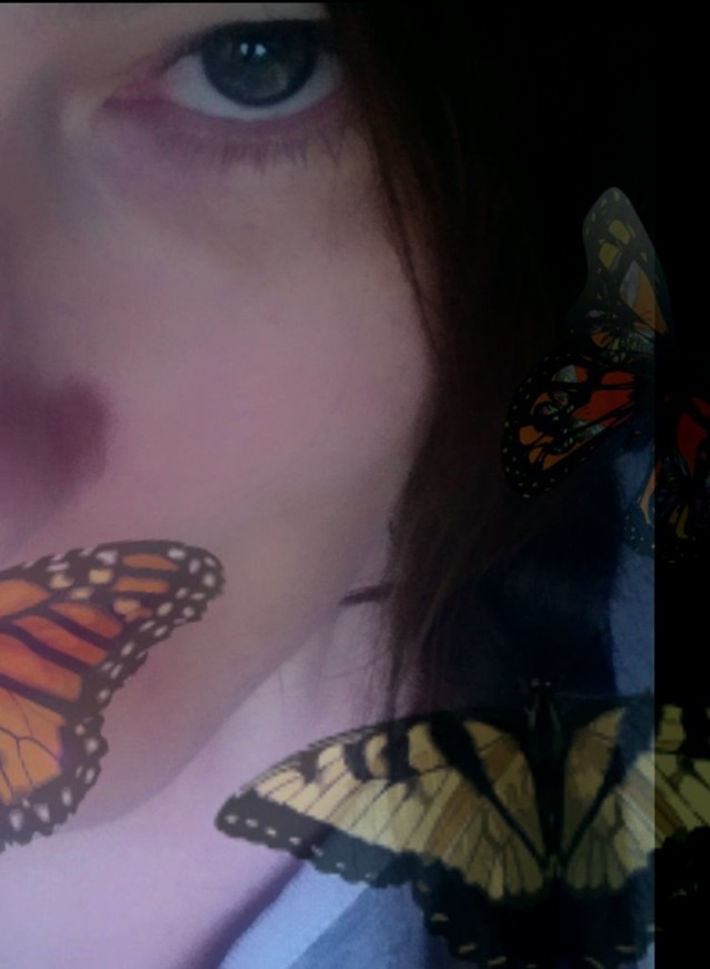 Butterflies-normal.jpg