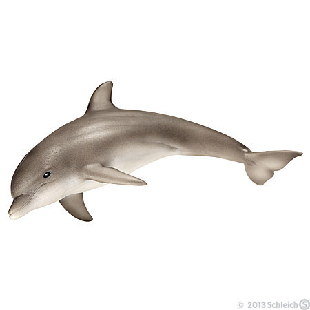 delfiini%2014699.jpg