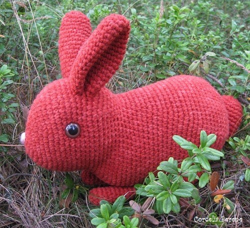 bunny012.jpg