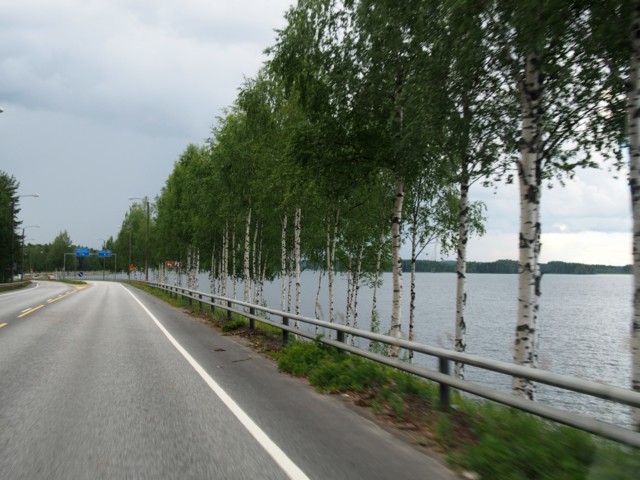 P7080042.JPG.jpg